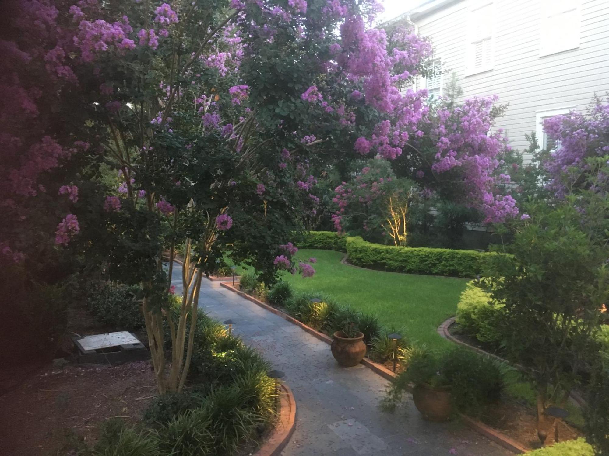 Bed and Breakfast 22 Charlotte à Charleston Extérieur photo