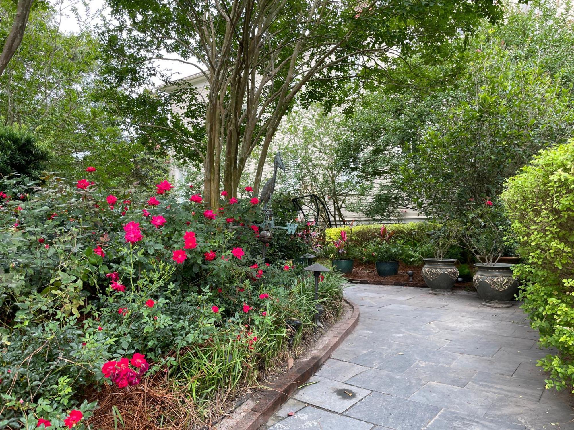 Bed and Breakfast 22 Charlotte à Charleston Extérieur photo